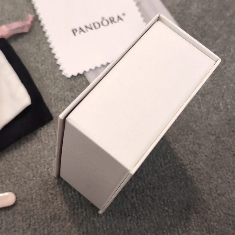 Pandora Cleaning Kit + Polishing Cloth - Picture 12 of 14